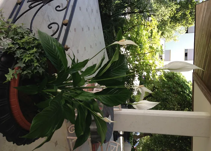 Palace Regina Szálloda